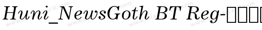 Huni_NewsGoth BT Reg字体转换